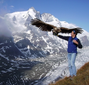 Flugschau auf der Kaiser- Franz- Josef- Höhe